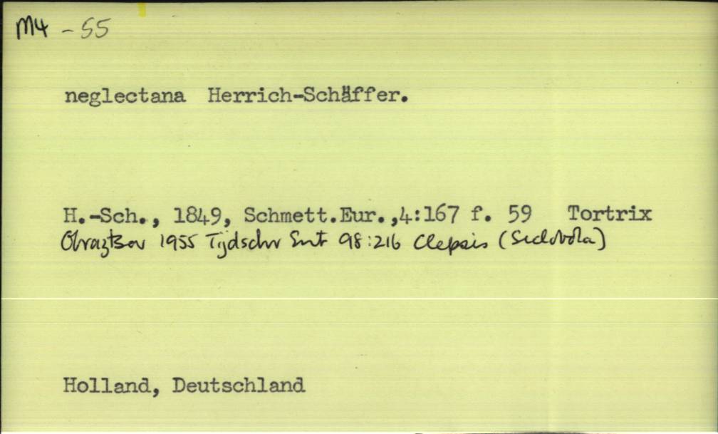 front of card